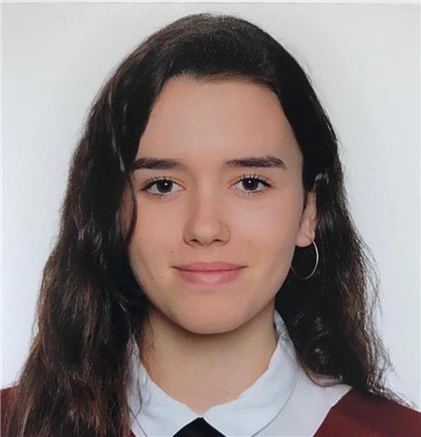 Clases económicas y amenas primaria/ eso. apoyo escolar