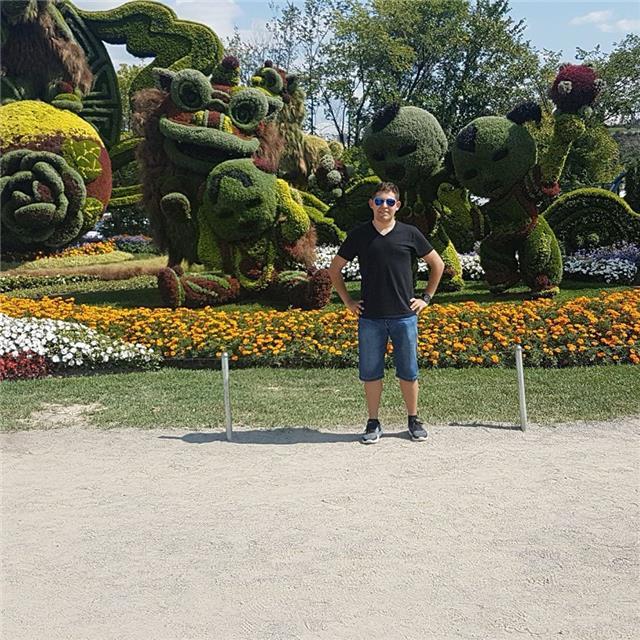 Profesor para apoyo escolar (Básica y media)