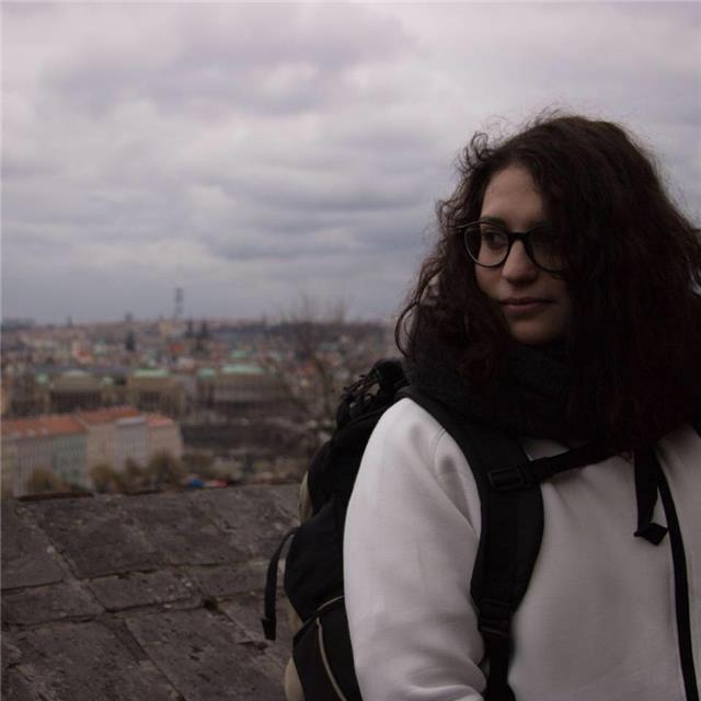 Studentessa di Ingegneria offre ripetizioni