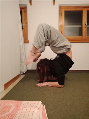 Certificazione in yoga multistyle e per livelli da principiante, amatoriale a intermedio