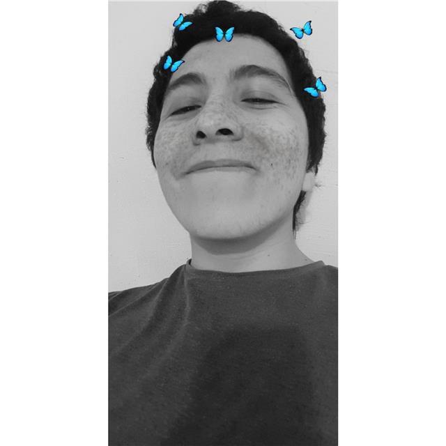 estudiante 3er año ofrece apoyo para lenguaje, asi como revision de textos y ensayos academicos