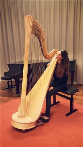 Laureata con il massimo dei voti al Conservatorio G. Verdi di Torino offro lezioni di arpa celtica e classica