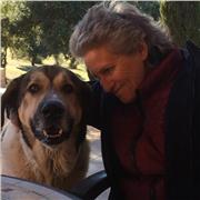 20 años de experiencia - todos los niveles