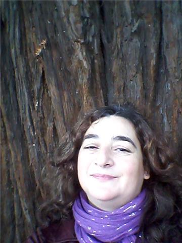 Clases particulares de letras primaria eso bachiller universidad ciclos