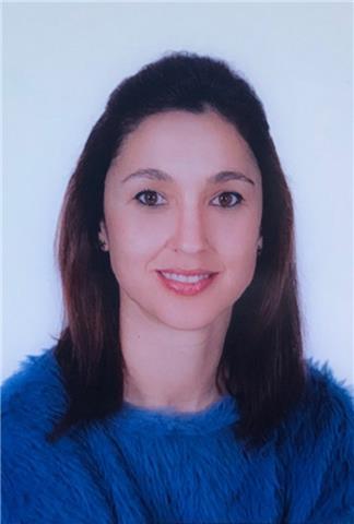 Ingles, francés, física y química, matemáticas, y economía