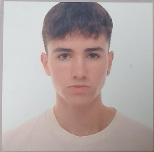 Profesor de asignaturas de ciencias sociales: historia y economía