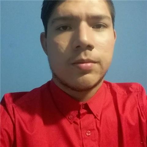 Clases a domicilio y online