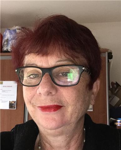 Professeur d'anglais depuis 38 ans lycée et université donne des cours d'anglais tout niveau