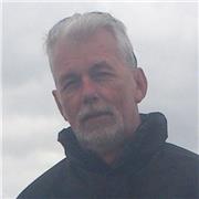 Profesor particular licenciado nativo (online )