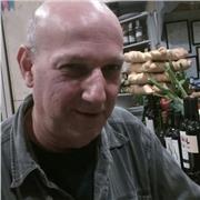 Profesor nativo bilingüe da clases de inglés