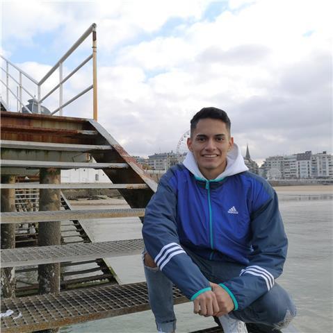 Doy clases particulares de francés para alumnos de ESO y Bachillerato