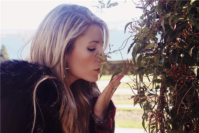 Clases de lengua y literatura para primaria y la eso