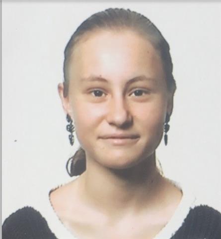 Imparto clases de educación secundaria obligatoria. bachillerato (ciencias sociales). especialidad geografía e historia. economía. preparación abau