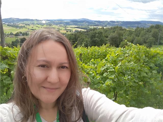 Apoyo con clases de repaso de primaria y eso