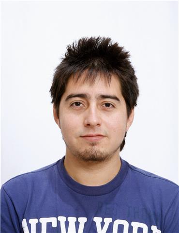 Profesor particular nativo, online
