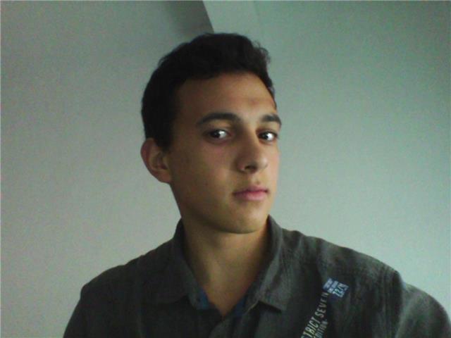 Profesor particular frances