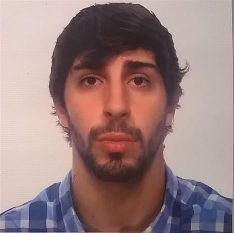 Profesor de Inglés para niños y adultos
