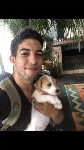 Profesor de inglés avanzado, puedo dar clases a todas las edades