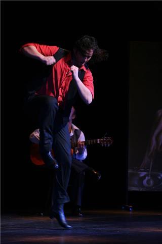 Sevillanas flamencas, rocieras y corraleras. flamenco baile español