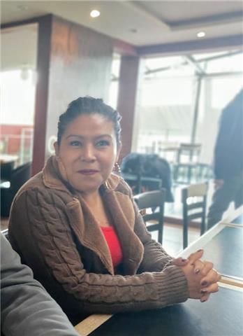 Apoyo en materias de primaria y secundaria