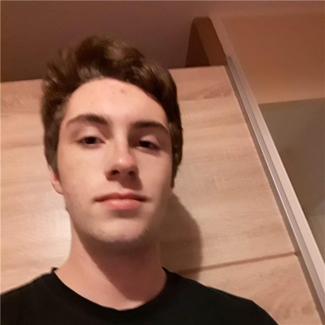 Professeur d'anglais niveau collège/lycée
