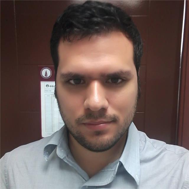 Online English Teacher for children, teenagers and adults