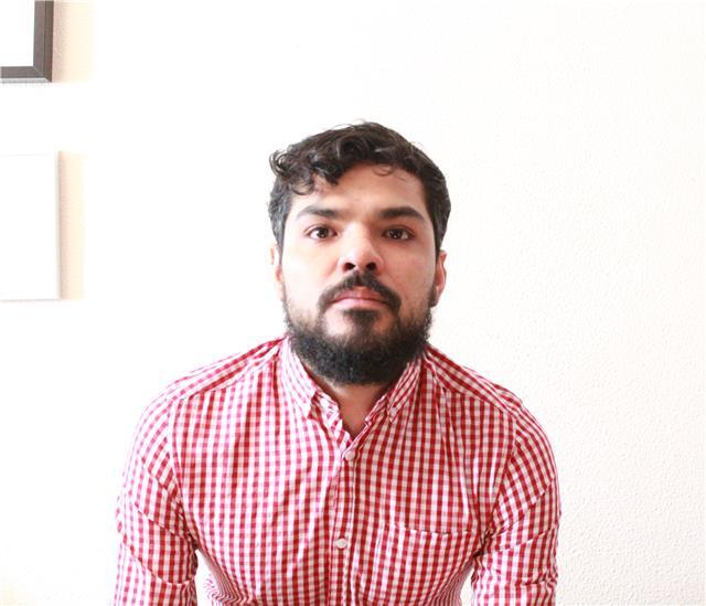 Profesor de lengua, humanidades e inglés