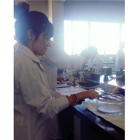 Doy clases particulares de ciencias y apoyo en cualquier asignatura y técnicas de estudio