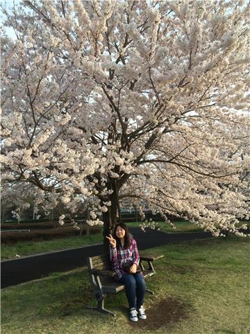 Vamos a estudiar en casa ( también puedo dar clases presenciales :))