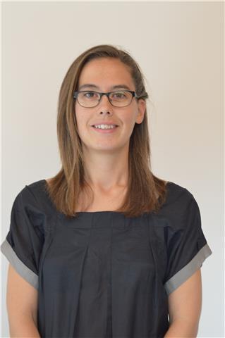 Clases particulares de primaria y secundaria