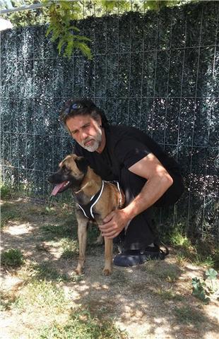Adiestramiento y gestión del comportamiento canino a domicilio en madrid