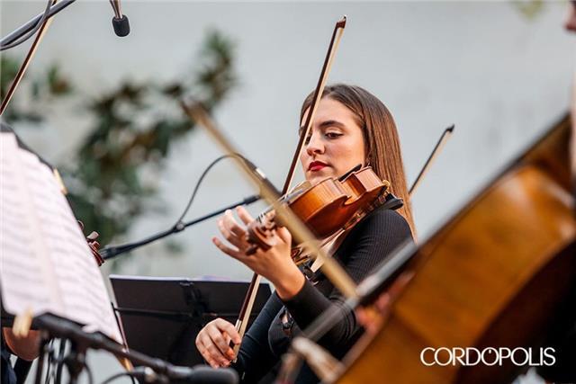 Profesora de violín ofrece clases de repaso o iniciación, todos los niveles