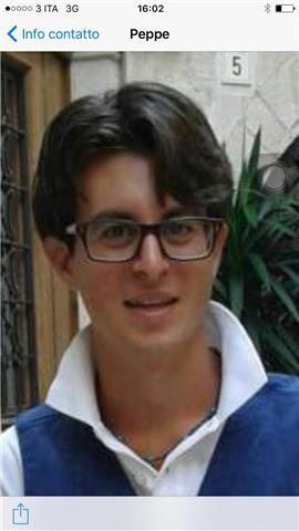Laureato in mediazione linguistica presso la Ssml Carlo Bo di Bari in inglese e tedesco impartisce lezioni private online in inglese e tedesco