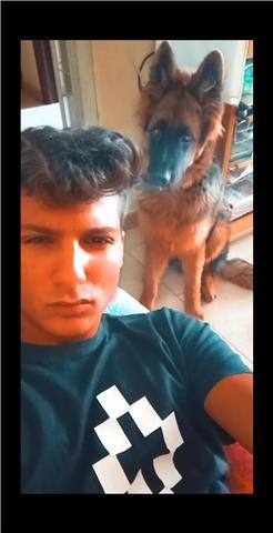 Insegnante storia offre lezioni private per gli alunni