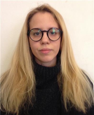 Ripetizioni lingua inglese - tutti i livelli