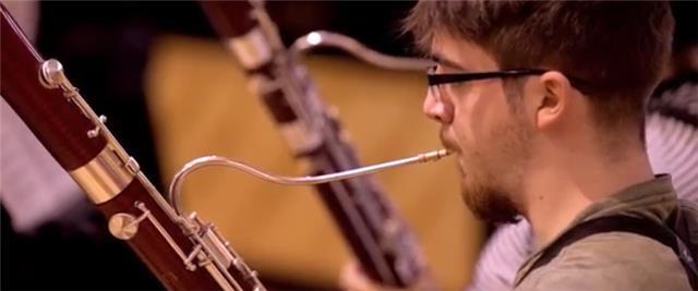 Doy clases particulares a domicilio de fagot y de lenguaje musical! todo grado profesional! y puedo resolver dudas varias en el ámbito musical