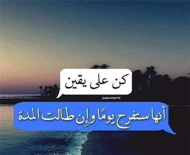 Licence spécialité langues française arabe littéraire traduction interprétation