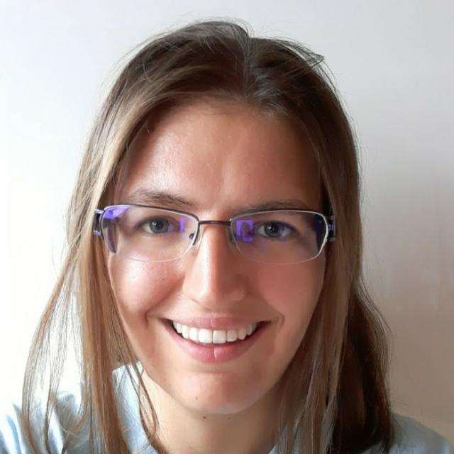 Cours de soutien anglais par visioconférence (12 euros/heure)