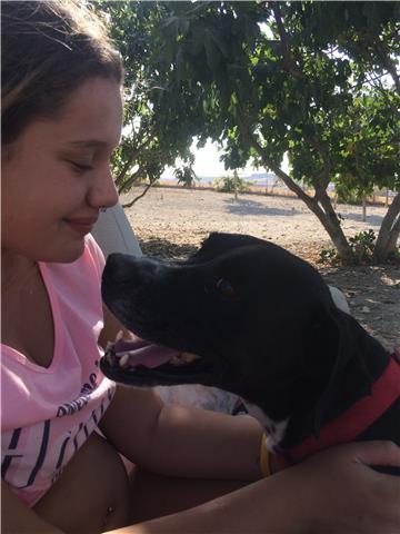 Doy clases particulares de ingles o primaria