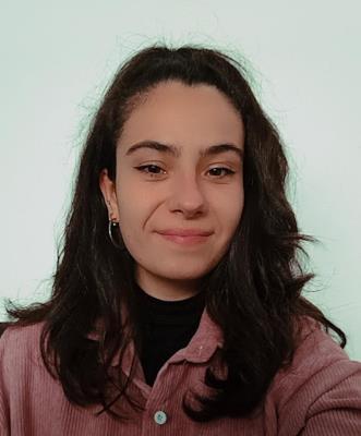 Clases particulares de historia/historia del arte para primaria y secundaria en santiago de compostela