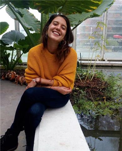 Ofrezco clases de repaso y de lengua francesa