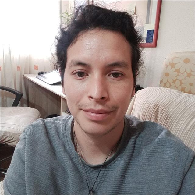 Profesor de dibujo y pintura, enseña a adentrarse al mundo artístico y creativo, para cualquier edad