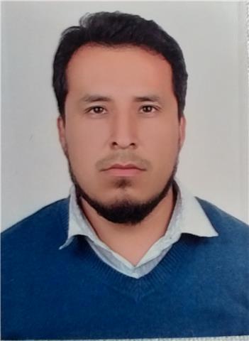 Profesor de Historia del Programa Diploma del Bachillerato internacional