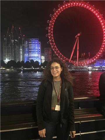 Maturanda con certificazione Cambridge livello B2 offre ripetizioni di Inglese