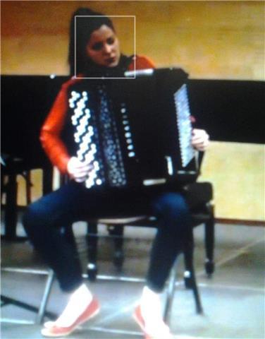 Clases de acordeón, piano, lenguaje musical, solfeo, entonación, armonía, conservatorio. presencial y onlin