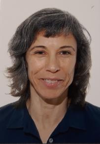 Clases particulares de matemáticas, física, biología, geología