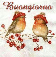 Laureata in legge offre lezioni di diritto a studenti di ogni indirizzo scolastico