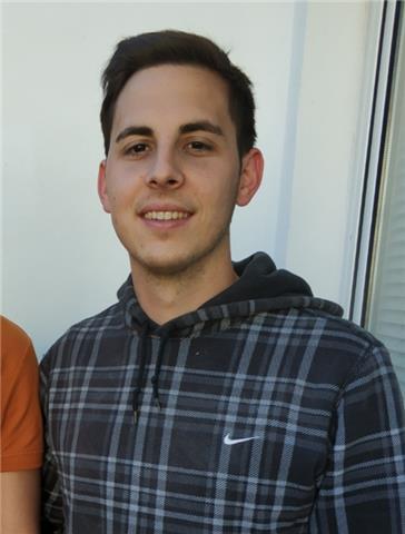 Música, castellano, valenciano, inglés (b2) , ciencias naturales, matemáticas