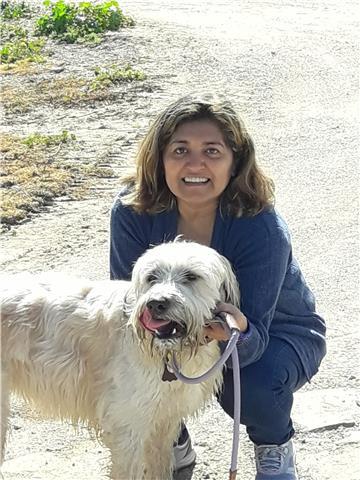 Doy clases particulares de inglés