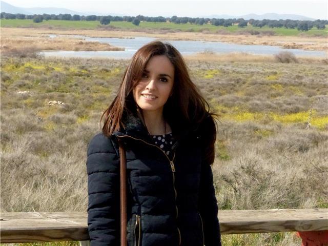 Doy clases particulares de matemáticas para primaria, eso y bachillerato